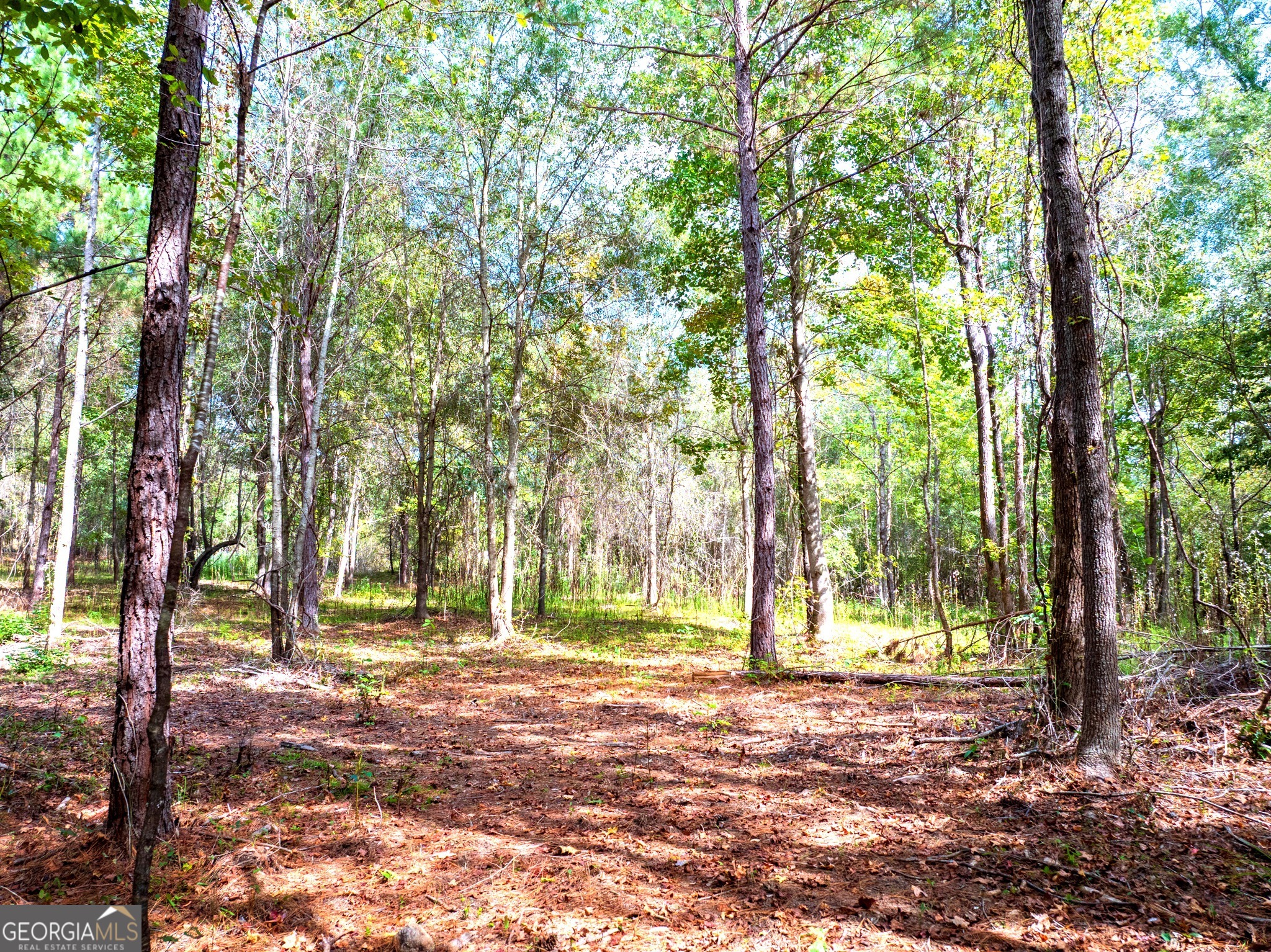 661 Hugh O Neal Road Greenville, GA 30222 - Photo 8 of 10 a view of outdoor space with deck and trees