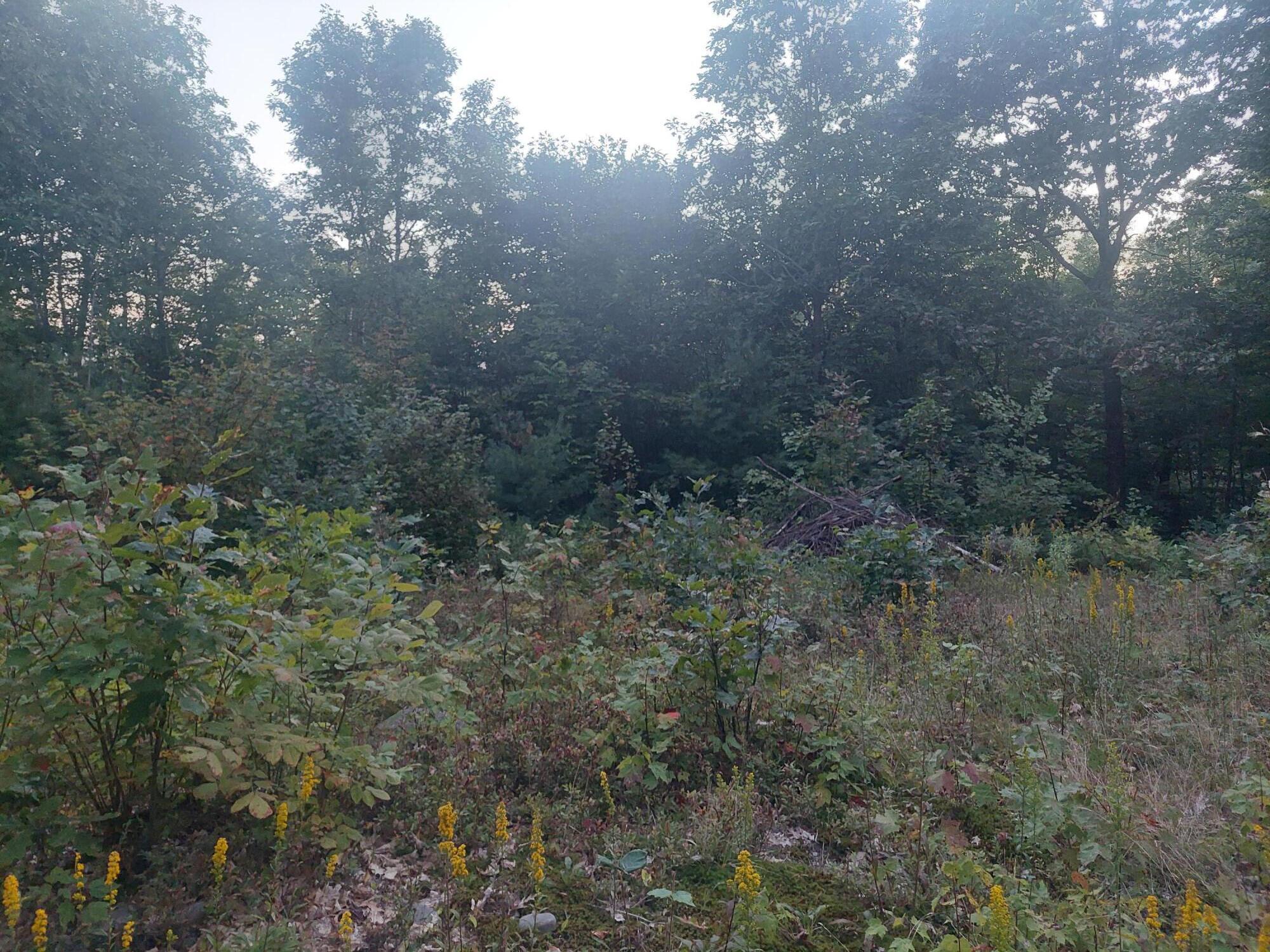 140 Stanchfield Ridge Road Milo, ME 04463 - Photo 11 of 14 20240901_191530