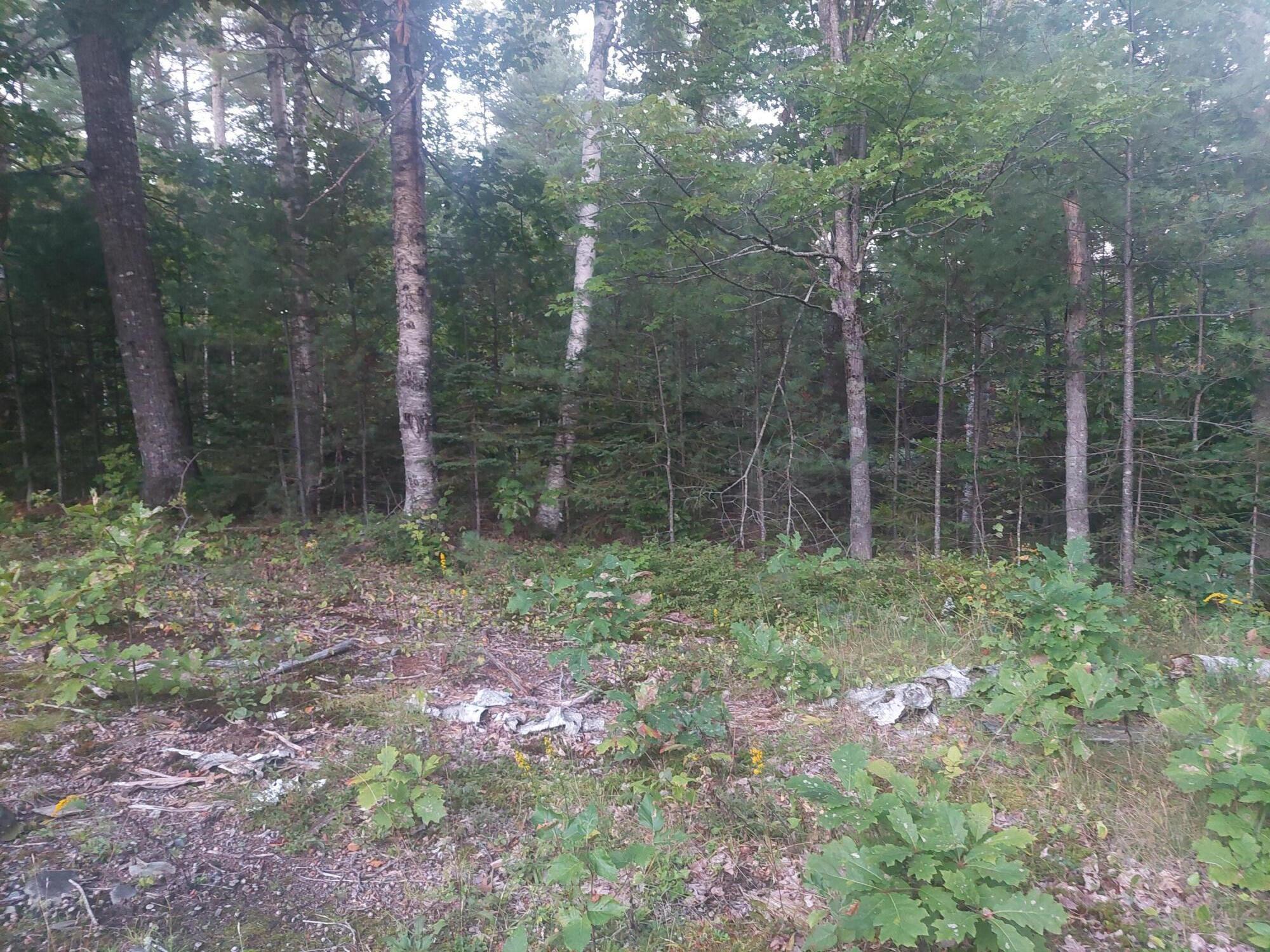 140 Stanchfield Ridge Road Milo, ME 04463 - Photo 12 of 14 20240901_191620