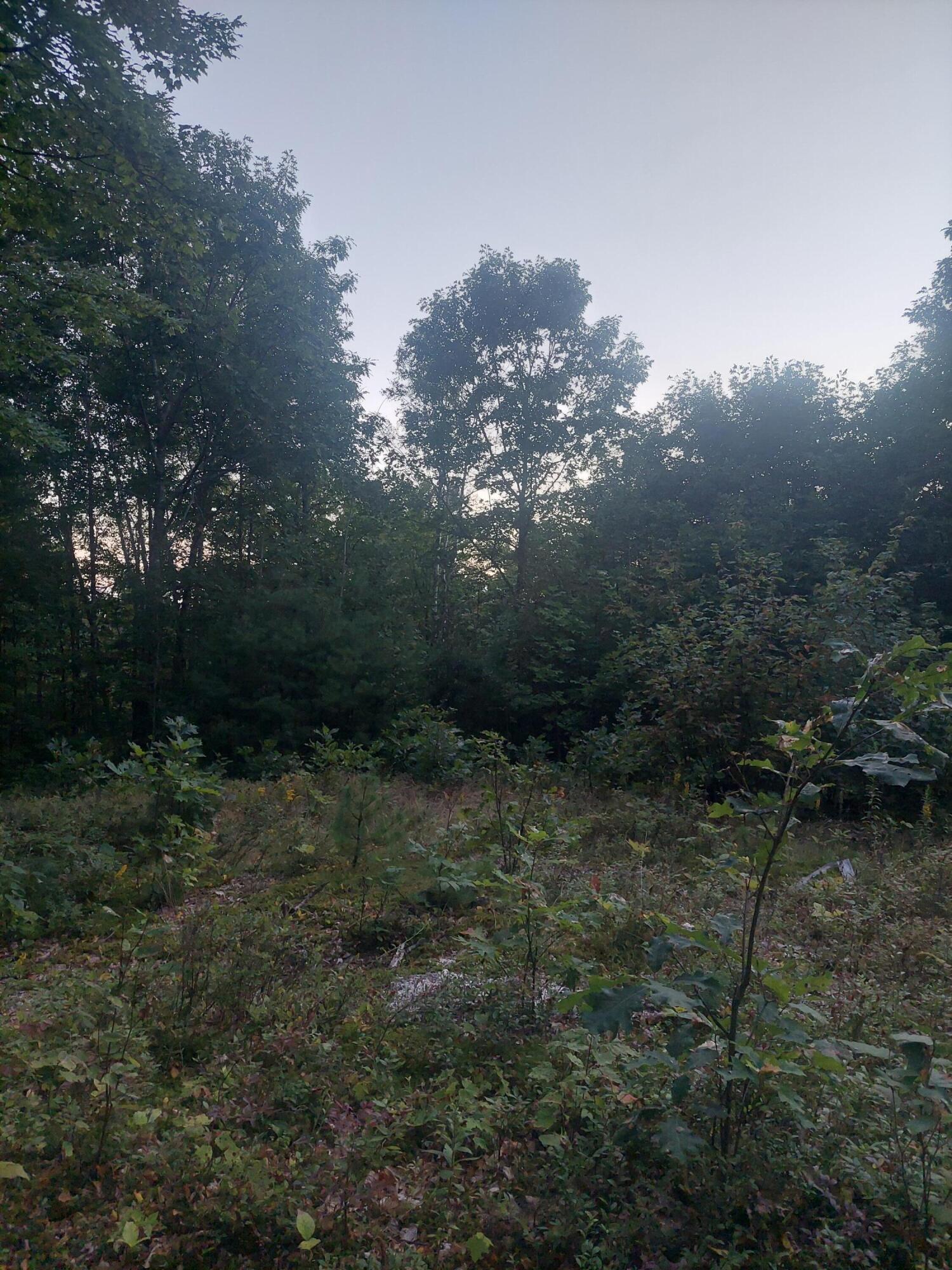 140 Stanchfield Ridge Road Milo, ME 04463 - Photo 13 of 14 20240901_191744