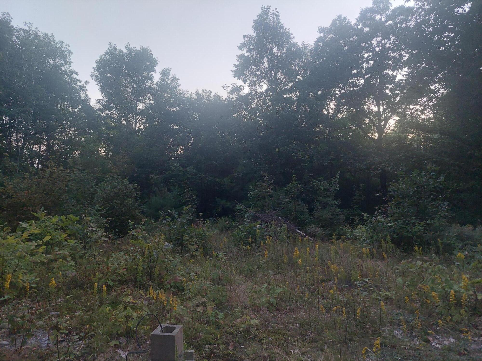 140 Stanchfield Ridge Road Milo, ME 04463 - Photo 14 of 14 20240901_191844