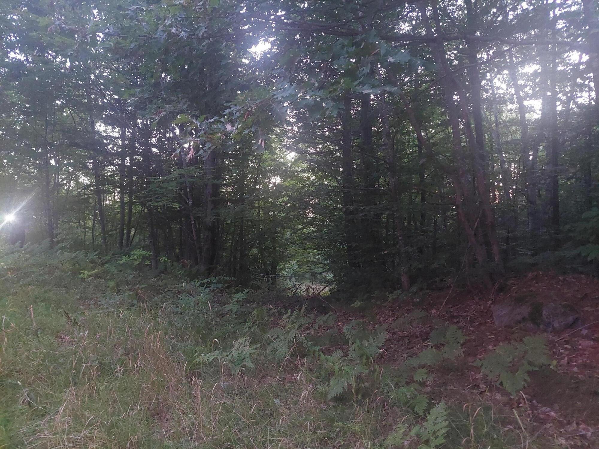 140 Stanchfield Ridge Road Milo, ME 04463 - Photo 3 of 14 20240901_192307