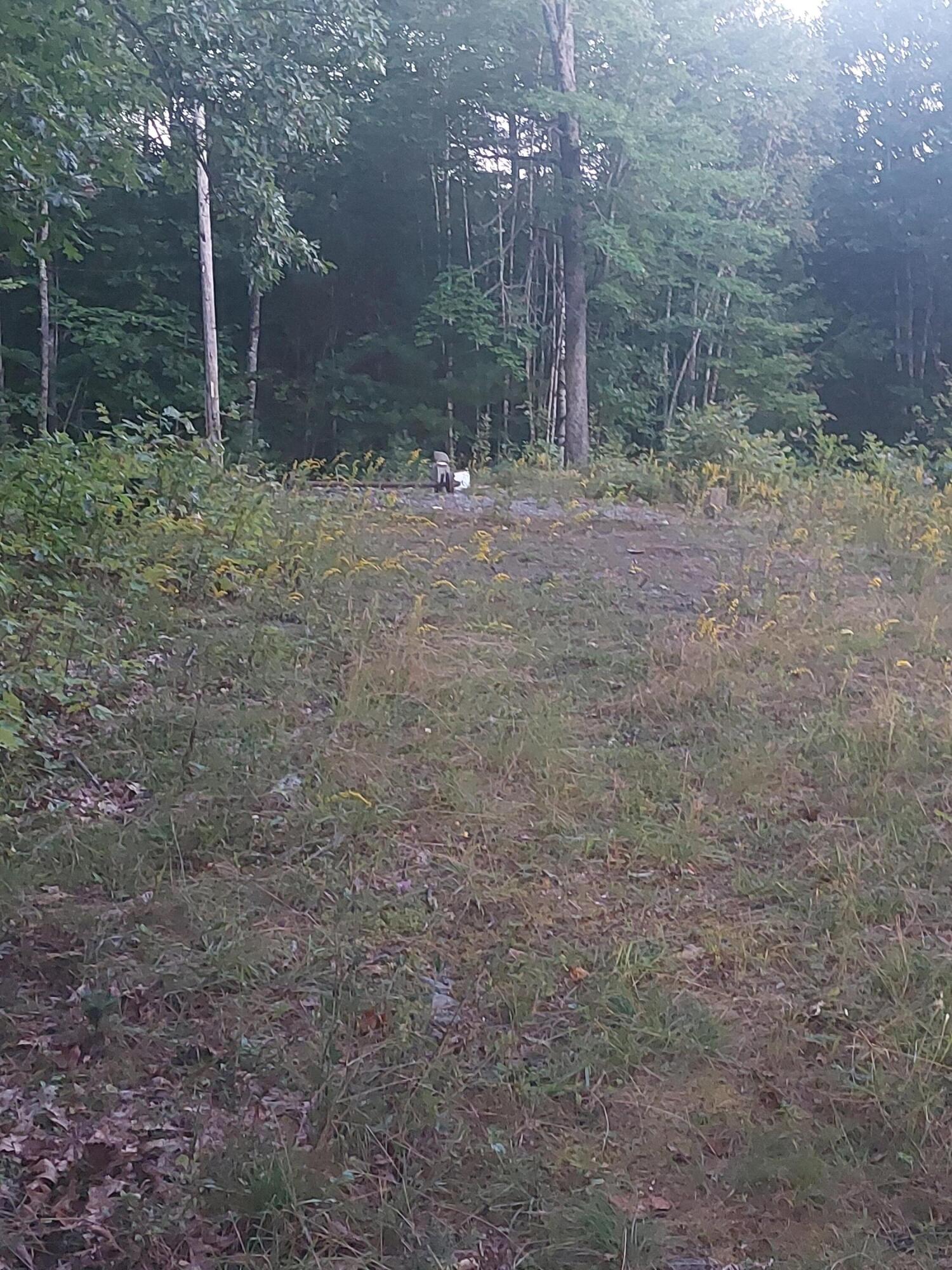 140 Stanchfield Ridge Road Milo, ME 04463 - Photo 5 of 14 20240901_192208