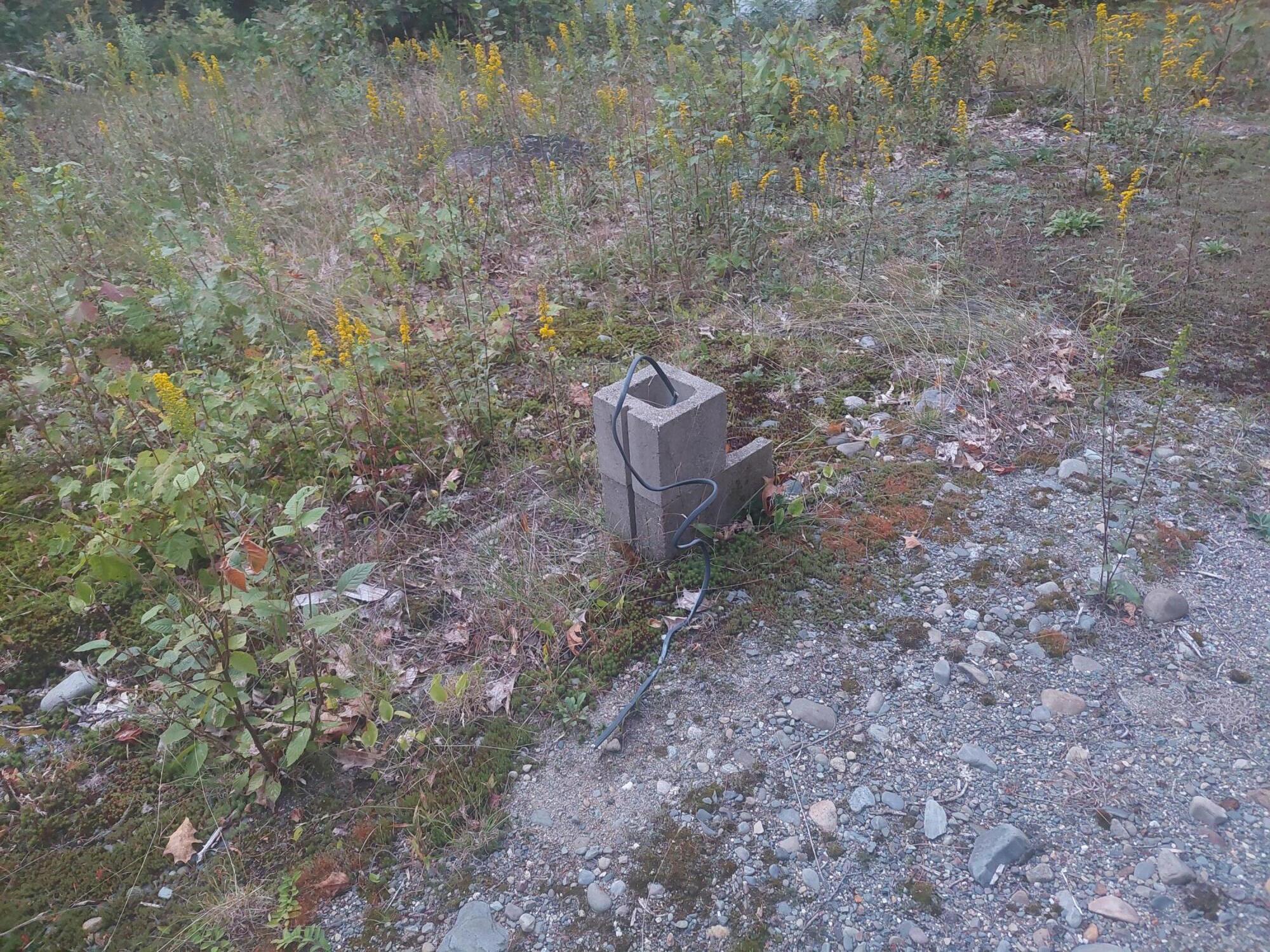 140 Stanchfield Ridge Road Milo, ME 04463 - Photo 8 of 14 20240901_191526