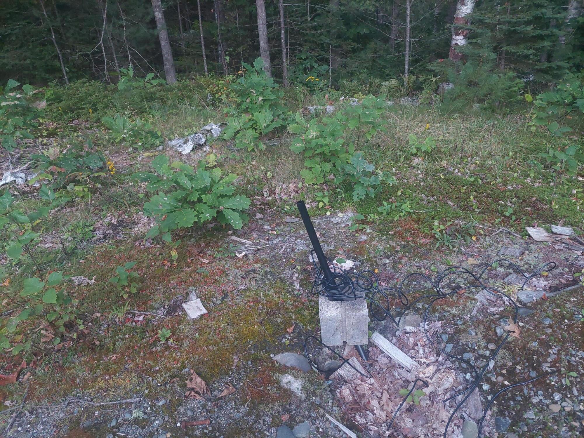 140 Stanchfield Ridge Road Milo, ME 04463 - Photo 9 of 14 20240901_191618