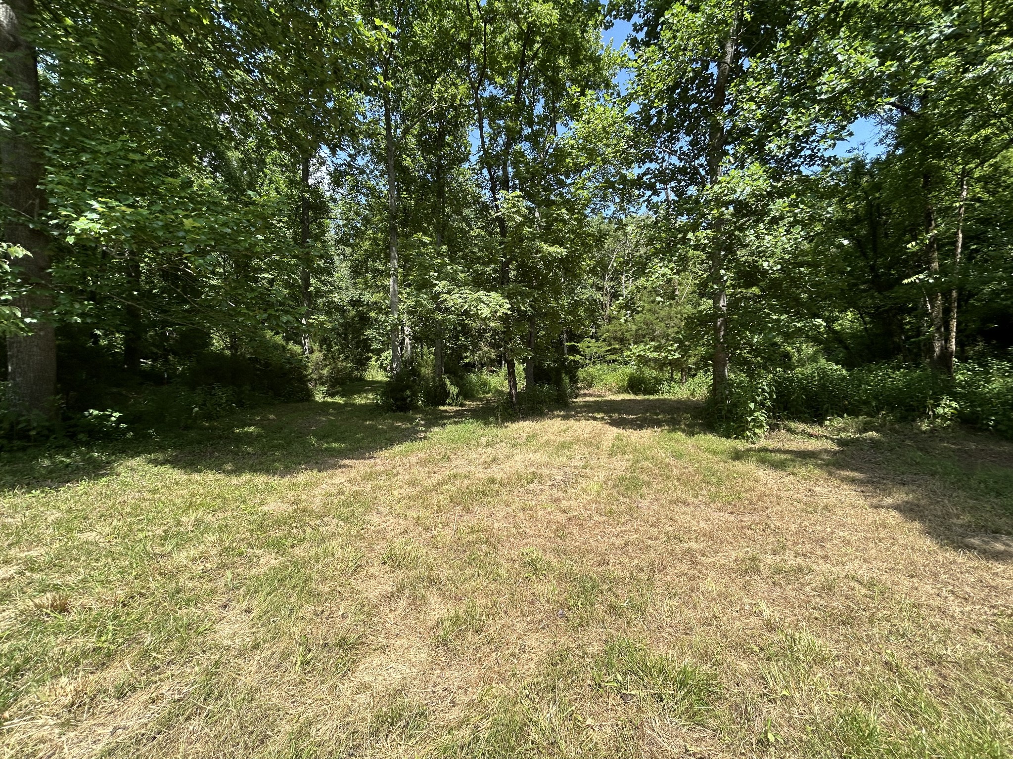 1 New Hope Cemetery Road Pulaski, TN 38478 - Photo 8 of 21