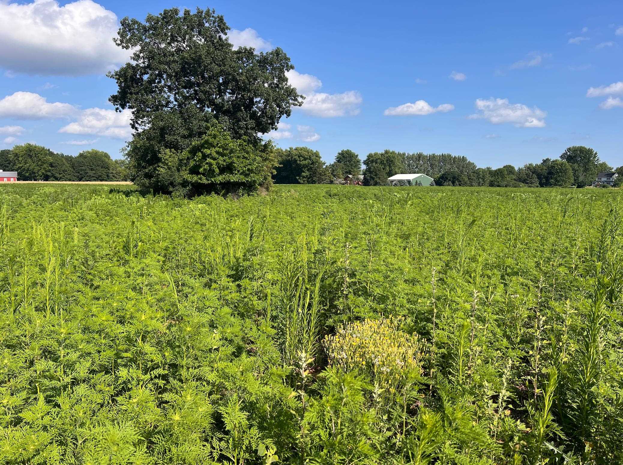 Ridgetop Drive, Unit 2 Appleton, WI 54914 - Photo 11 of 11