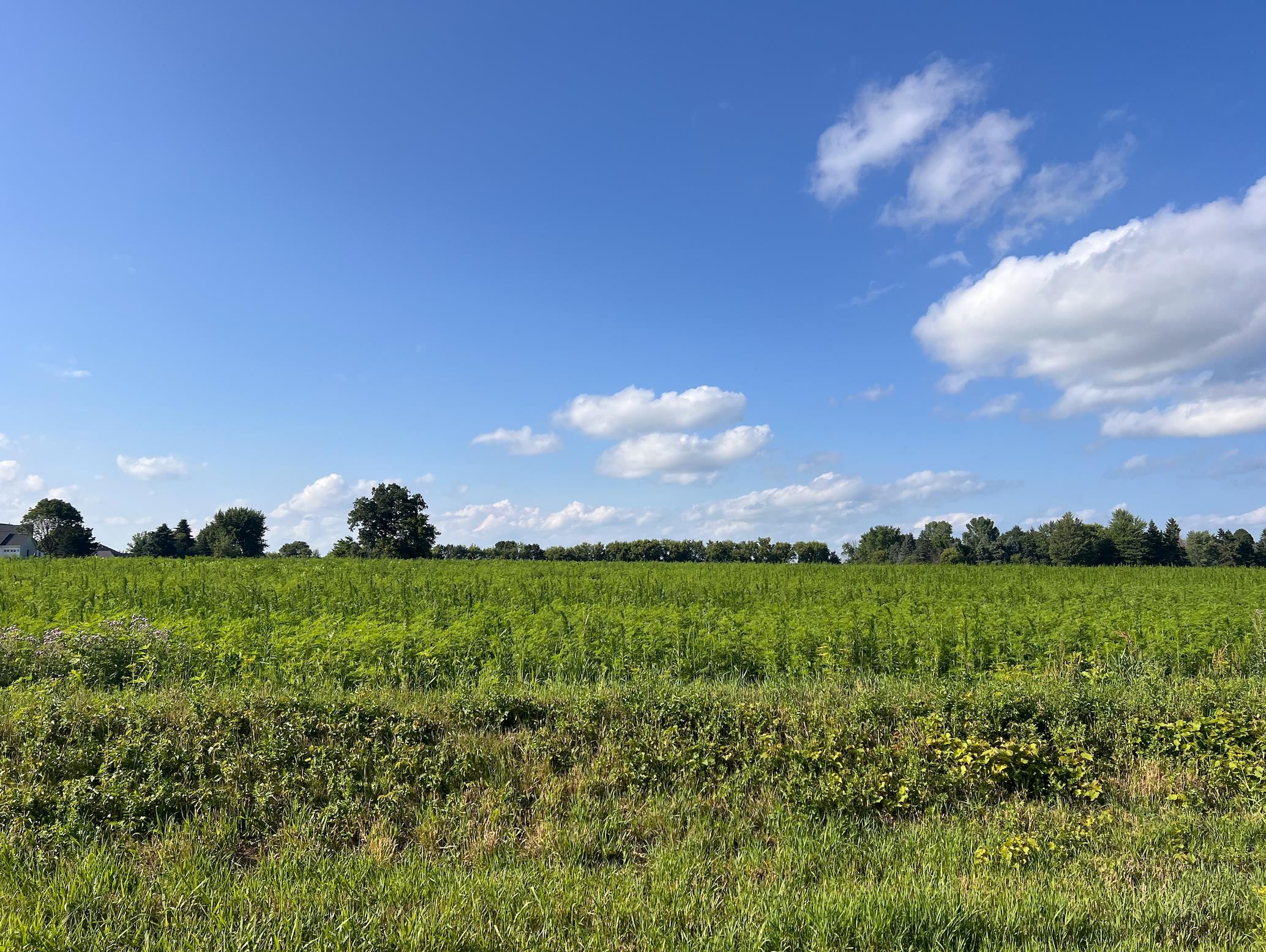 Ridgetop Drive, Unit 2 Appleton, WI 54914 - Photo 8 of 11