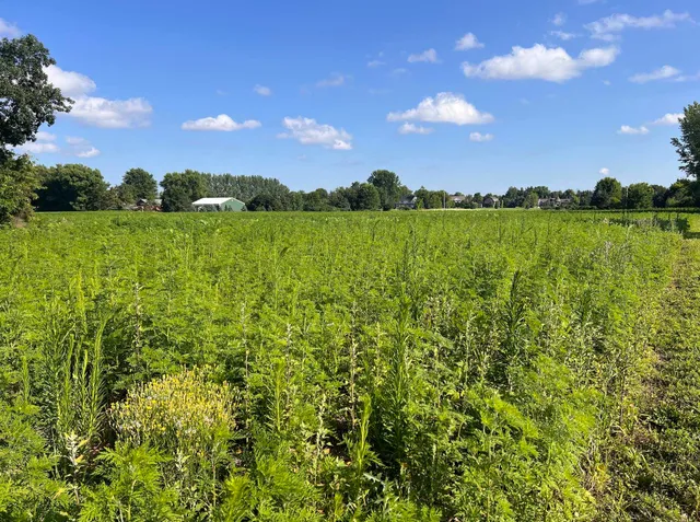 $575,000 | Ridgetop Drive, Unit 2, Appleton, WI 54914