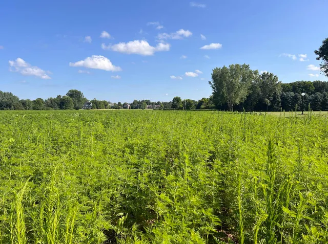 $575,000 | Ridgetop Drive, Unit 2, Appleton, WI 54914