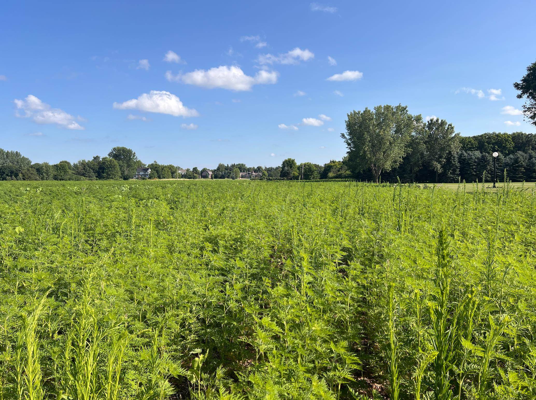 Ridgetop Drive, Unit 2 Appleton, WI 54914 - Photo 10 of 11