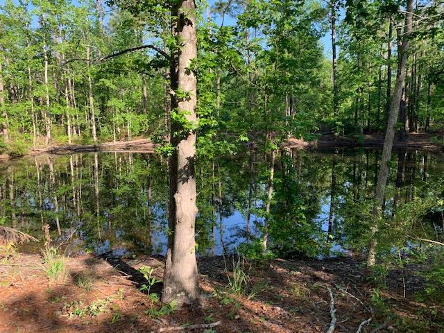 0 South Coot Adams Road Ashford, AL 36312 - Photo 1 of 1