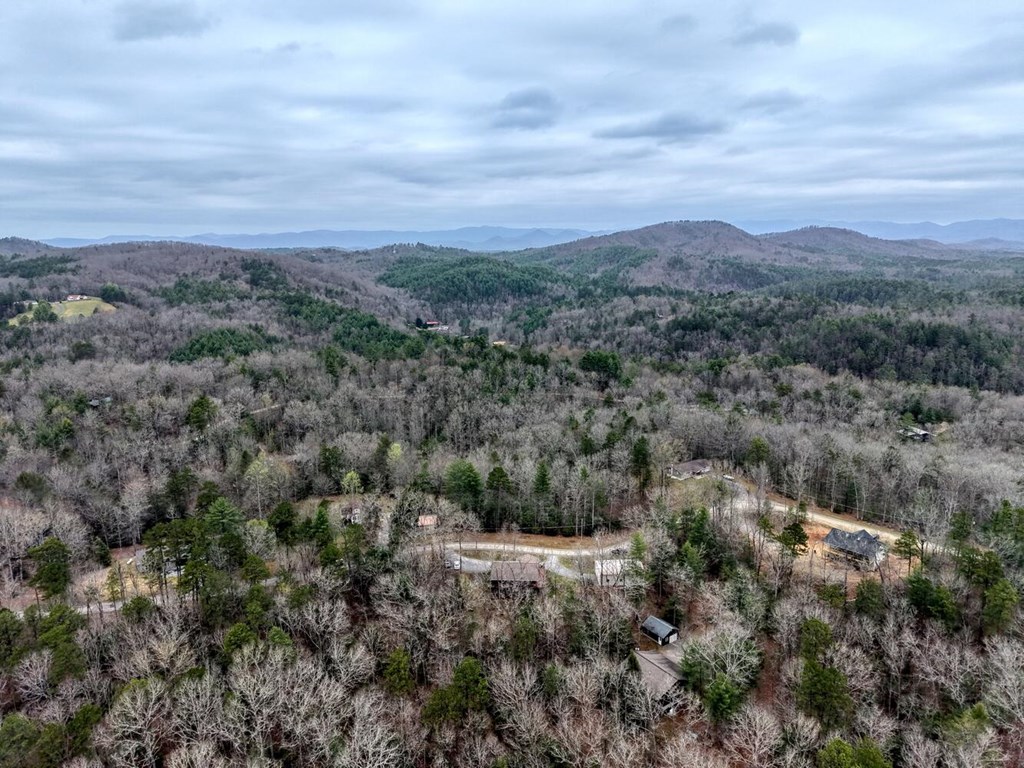 694 Hilltop Road Murphy, NC 28906 - Photo 56 of 60