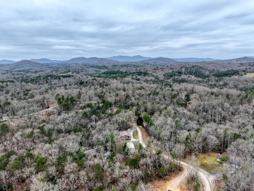 694 Hilltop Road Murphy, NC 28906 - Photo 57 of 60