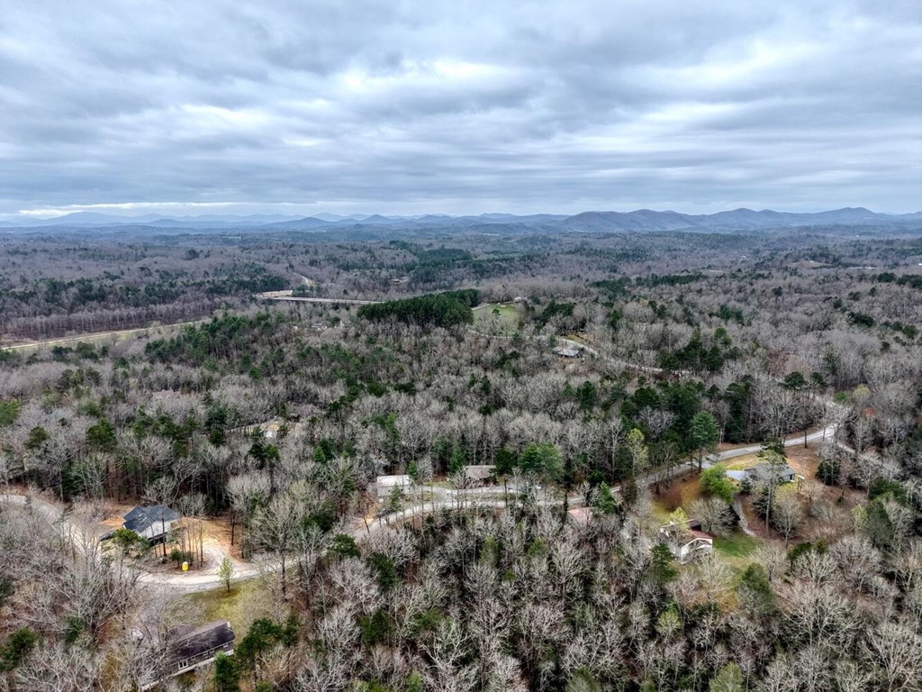 694 Hilltop Road Murphy, NC 28906 - Photo 58 of 60