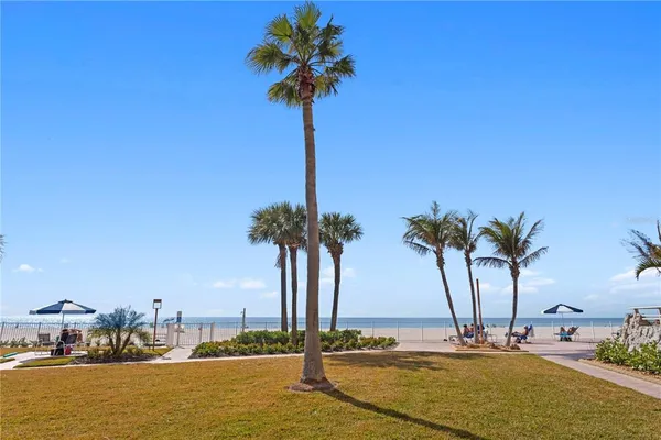 a view of ocean with palm trees