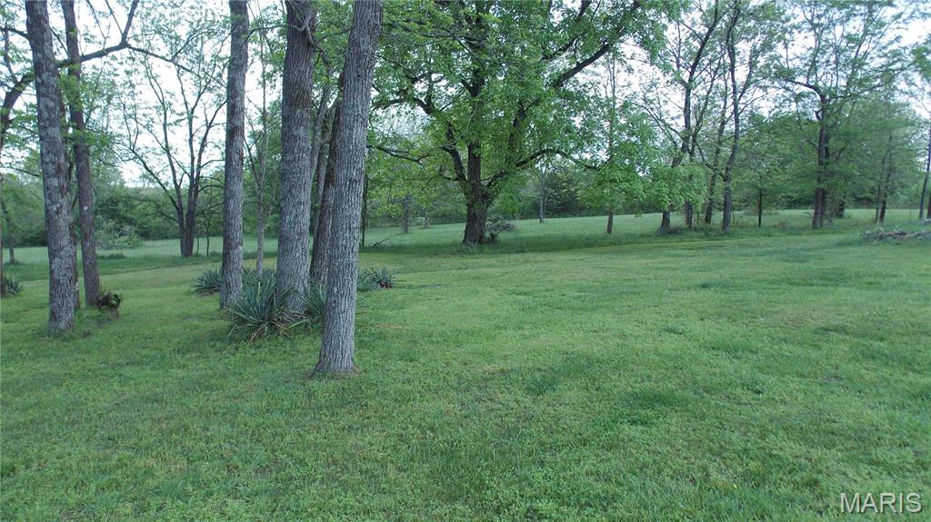 353 Ripley 142e-28b Fairdealing, MO 63939 - Photo 14 of 15