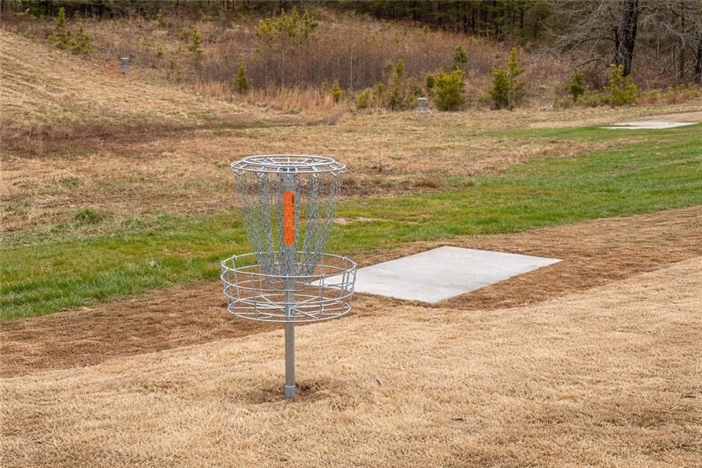 44 Rowlett Place Winder, GA 30680 - Photo 47 of 47 a view of a ocean beach