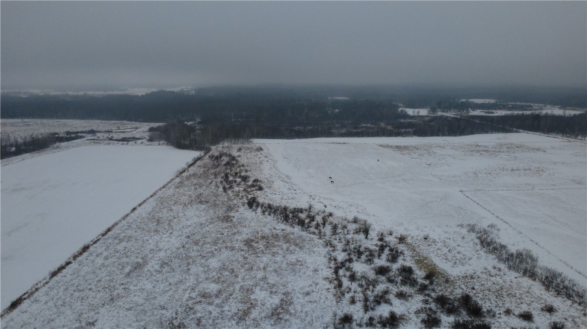 0 326th Street Boyd, WI 54726 - Photo 13 of 14