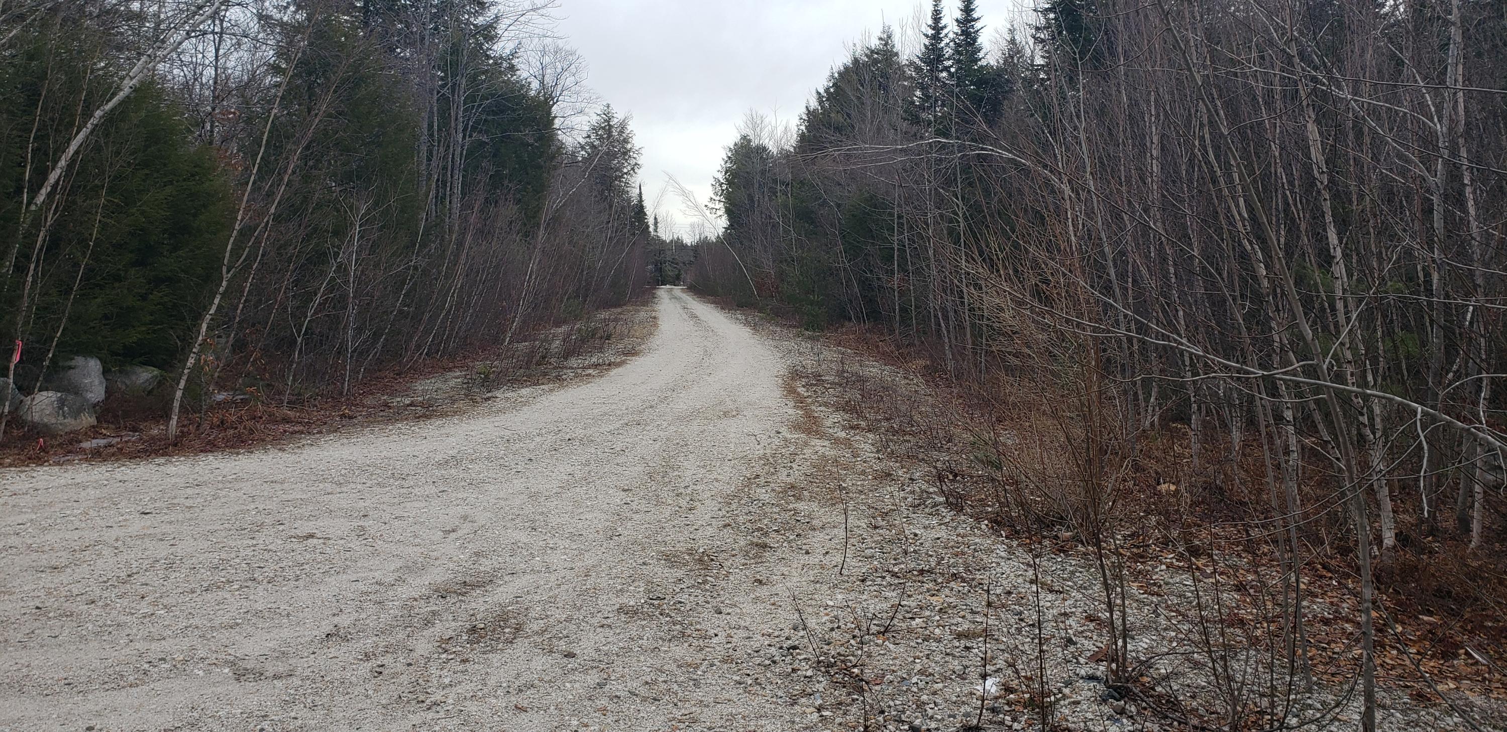 Lot 4 Sabine Road Harrison, ME 04040 - Photo 4 of 5 20201230_132117
