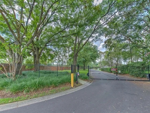 a view of a backyard with potted plants