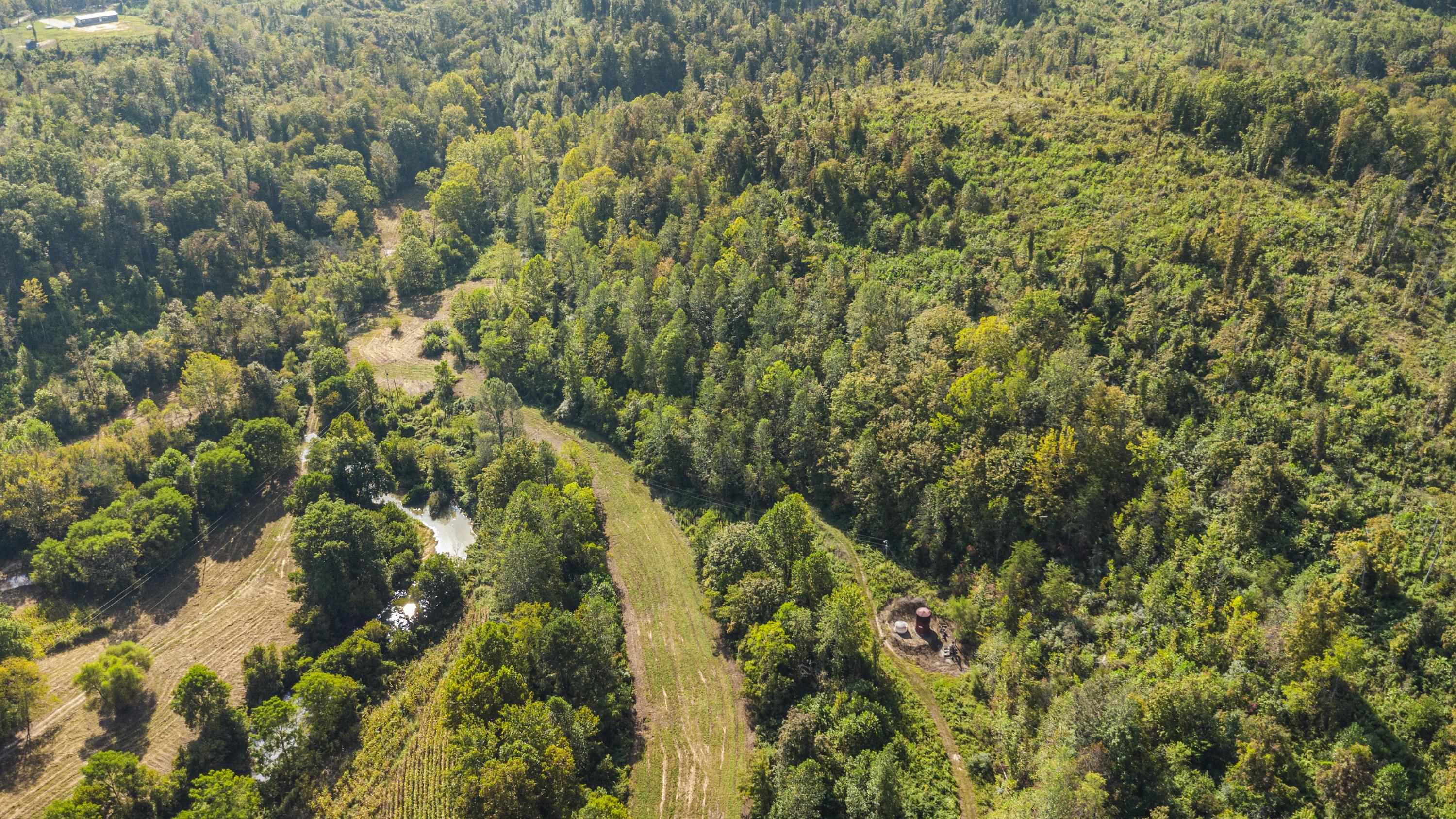 0 Tate Hollow Road Louisa, KY 41230 - Photo 33 of 50