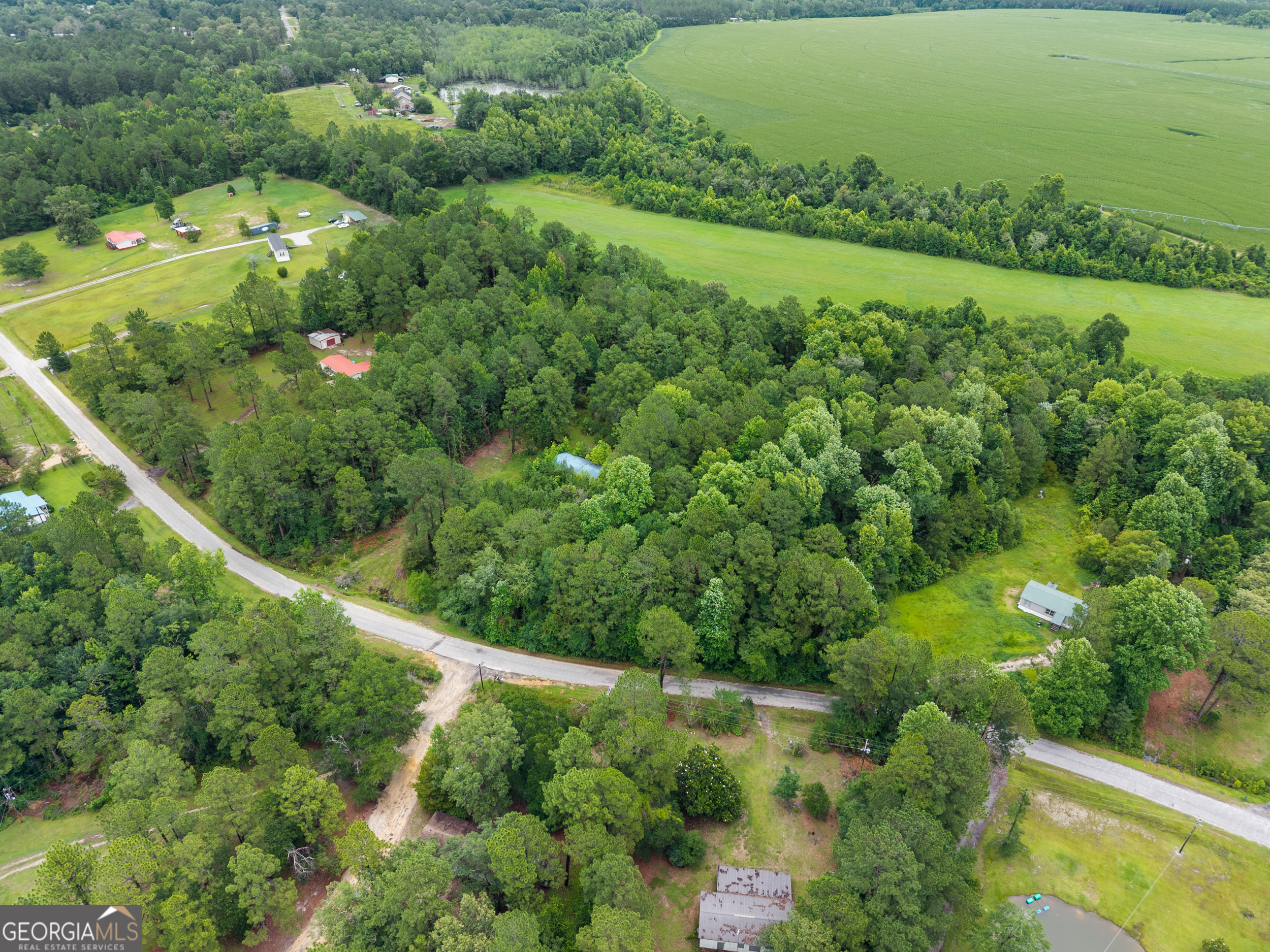 243 Buck Road Sylvania, GA 30467 - Photo 3 of 12