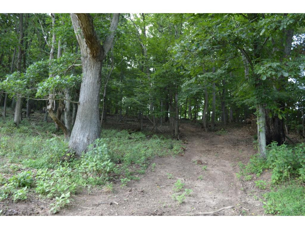 Tbd Fordtown Road, Unit 8 Fall Branch, TN 37656 - Photo 3 of 7 Photo 3