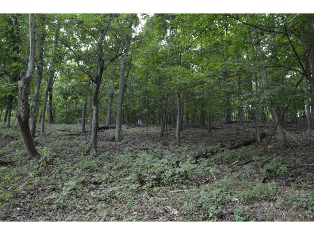 Tbd Fordtown Road, Unit 8 Fall Branch, TN 37656 - Photo 4 of 7 Photo 4