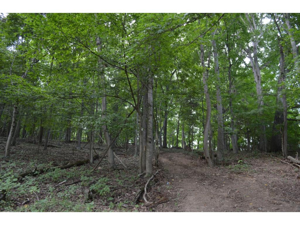Tbd Fordtown Road, Unit 8 Fall Branch, TN 37656 - Photo 5 of 7 Photo 5