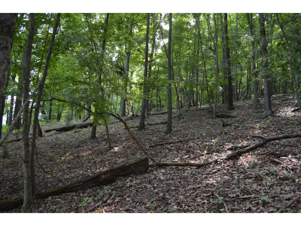 Tbd Fordtown Road, Unit 8 Fall Branch, TN 37656 - Photo 6 of 7 Photo 6