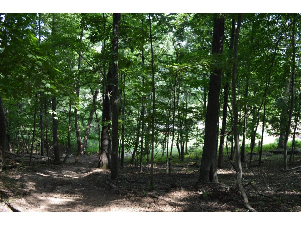 Tbd Fordtown Road, Unit 8 Fall Branch, TN 37656 - Photo 7 of 7 Photo 7