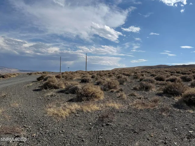 a view of a dry yard