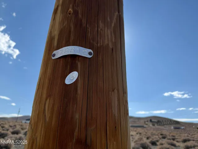 a close up of a palm plant in a kitchen