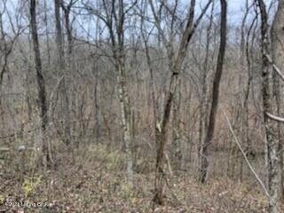 1108 Culls Ridge Road Bedford, KY 40006 - Photo 16 of 16 field