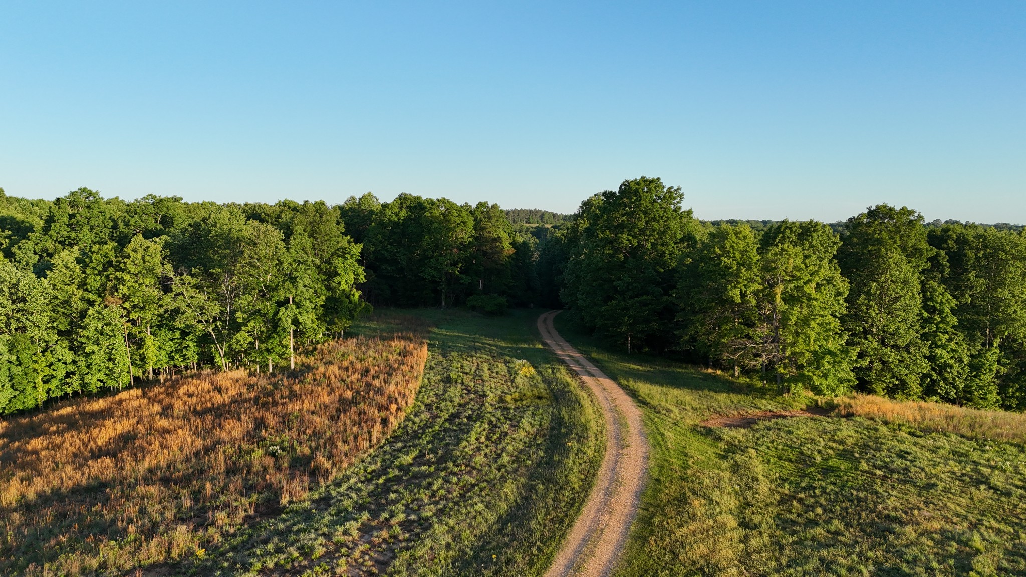 0 Seven 7 Mile Ridge Road Indian Mound, TN 37079 - Photo 21 of 27