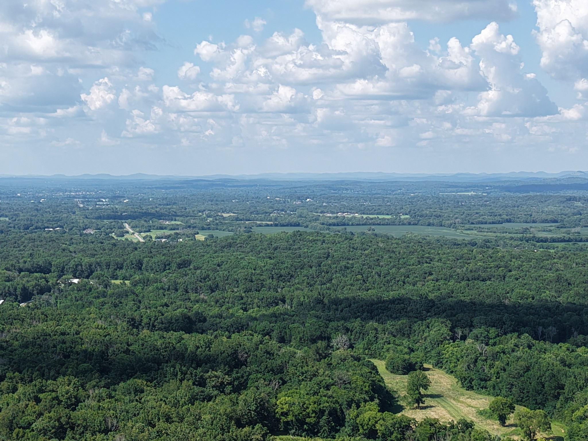 1 Millersburg Road Christiana, TN 37037 - Photo 2 of 7 a view of a big yard with lots of green space