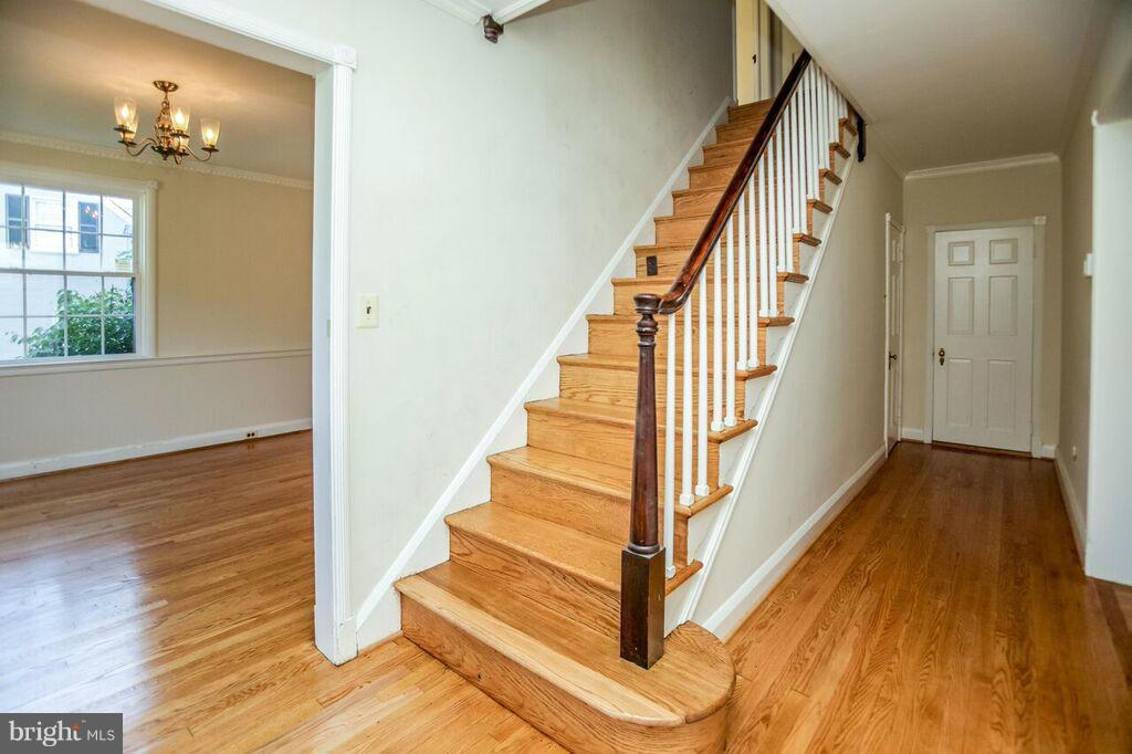 9 Tamworth Road Baltimore, MD 21210 - Photo 9 of 29 Interior (General)