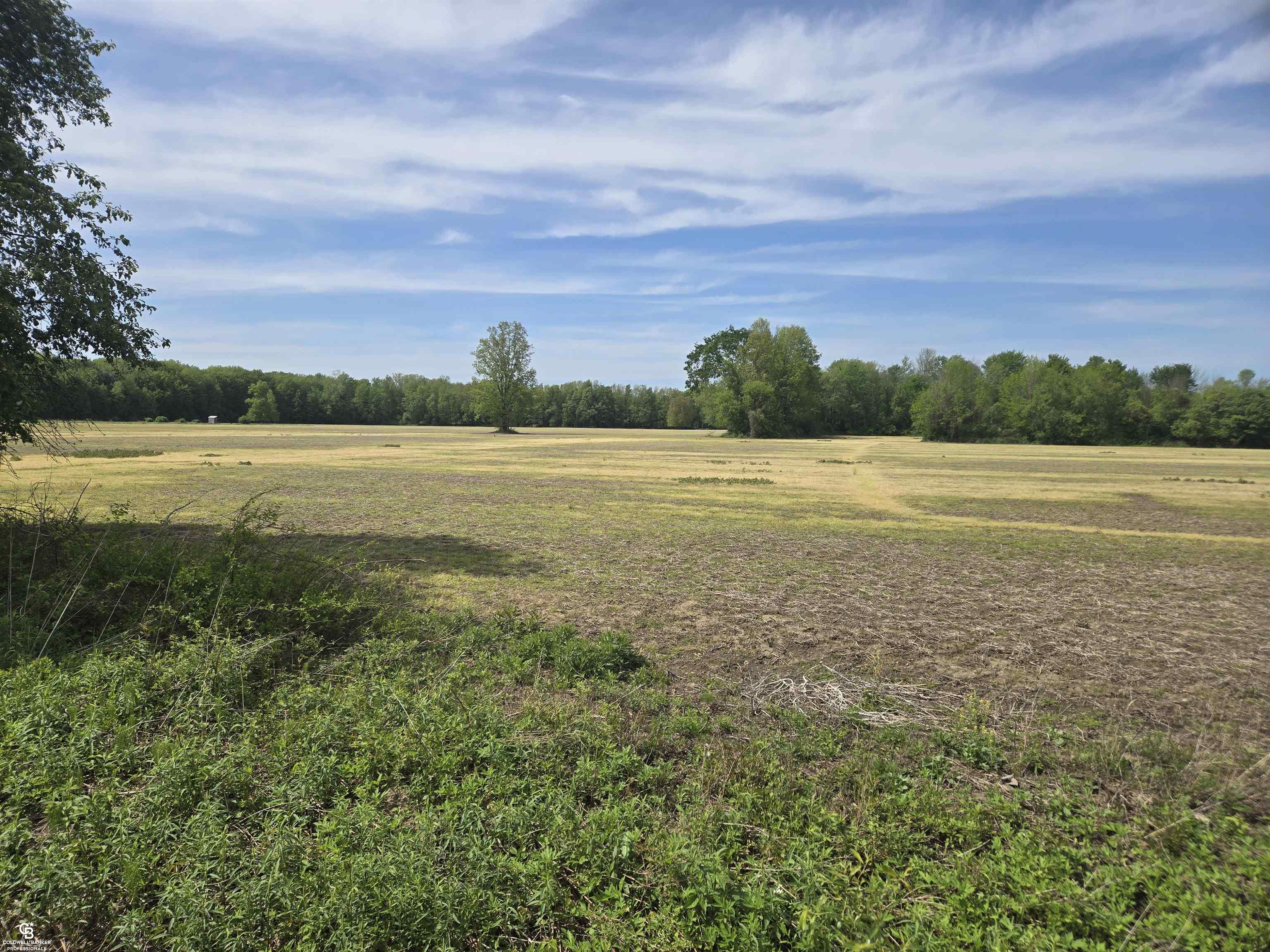 0 Bean Road Avoca, MI 48006 - Photo 8 of 11
