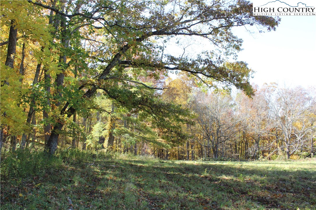 Mcneill Road Lansing, NC 28643 - Photo 1 of 18
