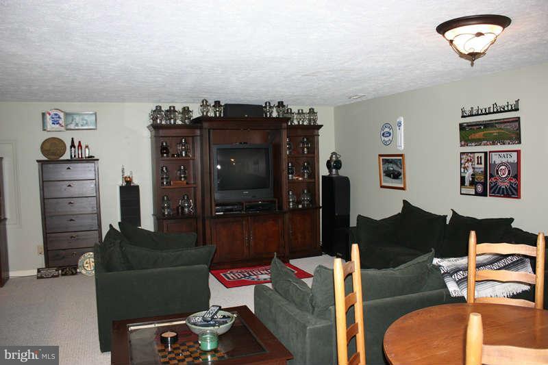 1456 Canterbury Road Front Royal, VA 22630 - Photo 23 of 28 Basement