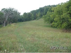0 Rt 47 Macfarlan, WV 26148 - Photo 7 of 18