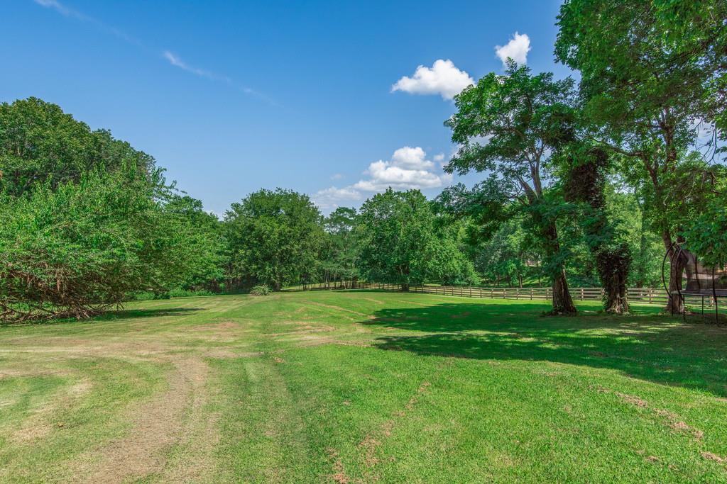 790 High Point Ridge Road Franklin, TN 37069 - Photo 29 of 30 a view of a big yard with a large trees
