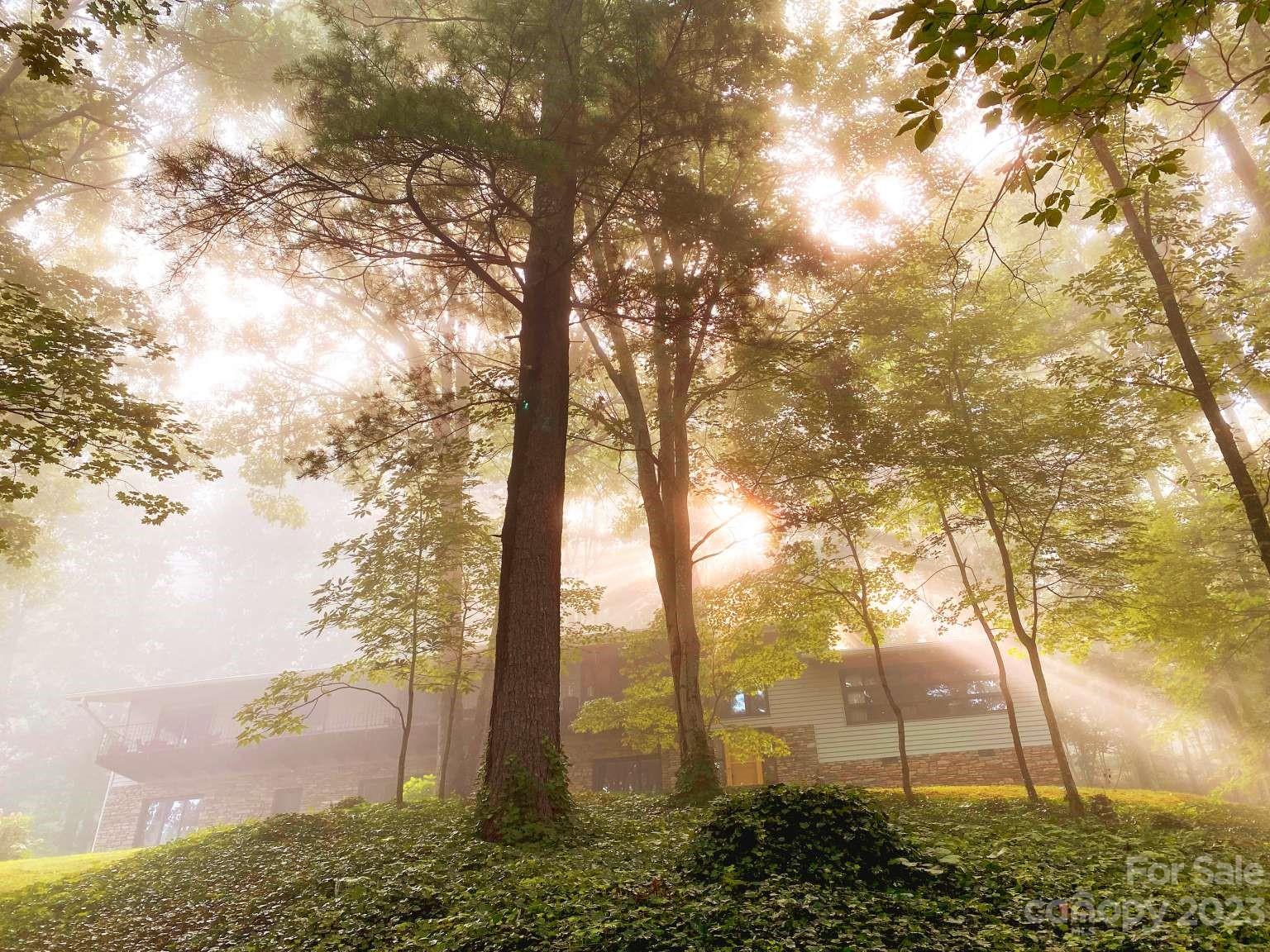 15 Bent Tree Road Asheville, NC 28804 - Photo 1 of 45 Gallery Image 1
