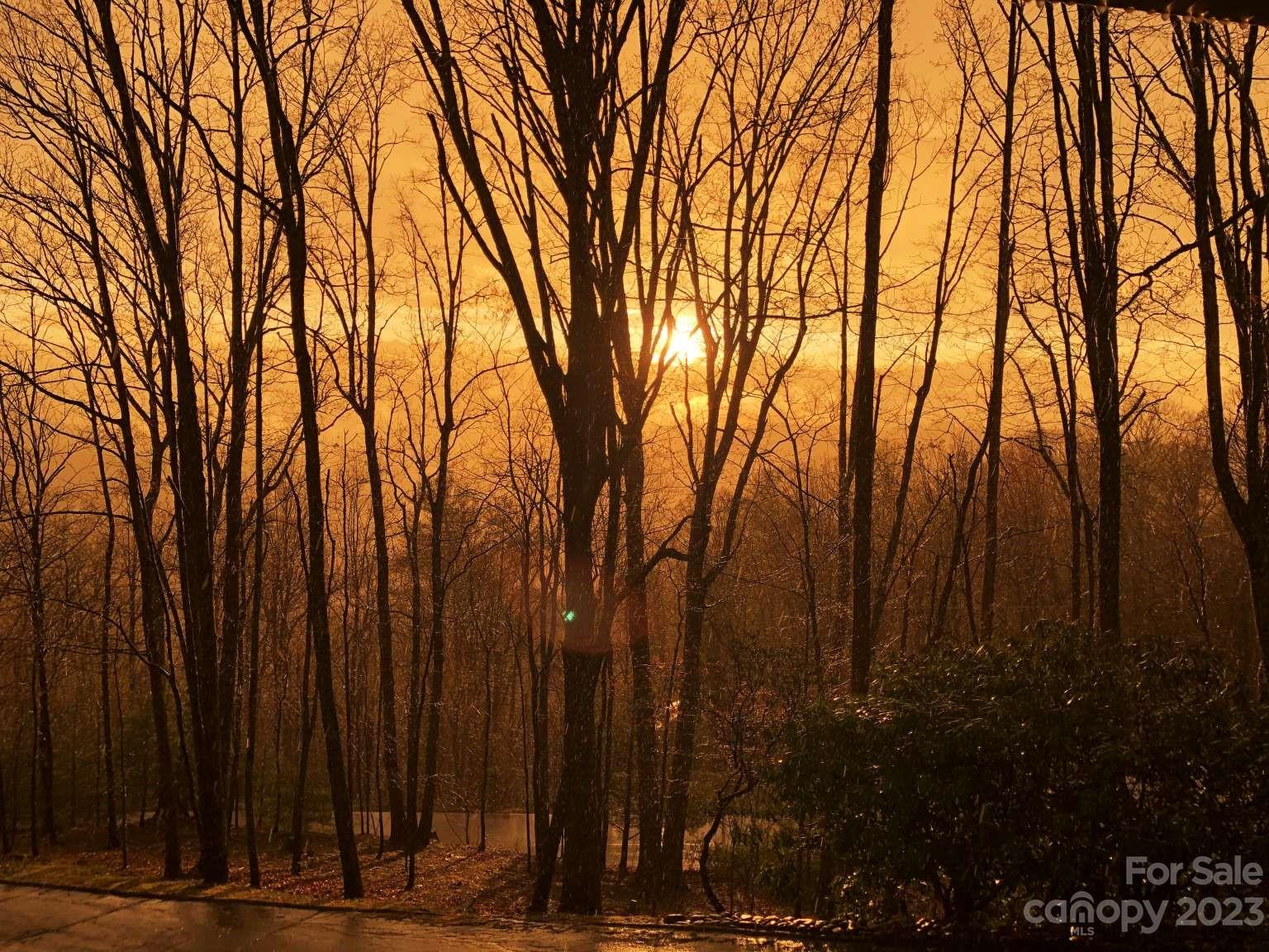 15 Bent Tree Road Asheville, NC 28804 - Photo 31 of 45 Gallery Image 31