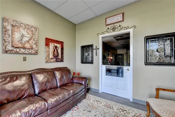 a view of a yard with large trees