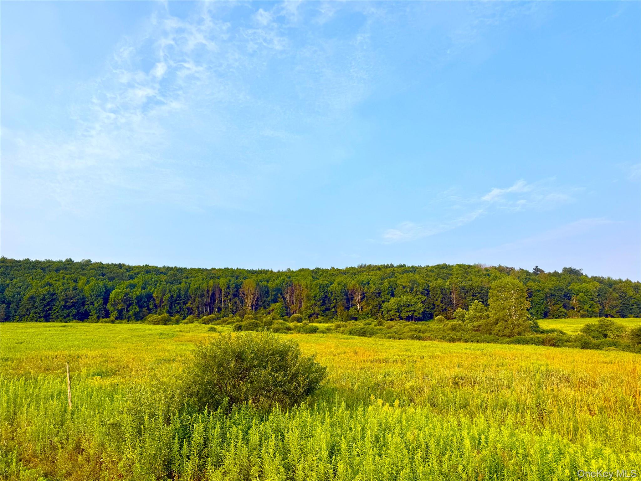 299 Walt Phillips Road Sherburne, NY 13460 - Photo 1 of 8 Gallery Image 1