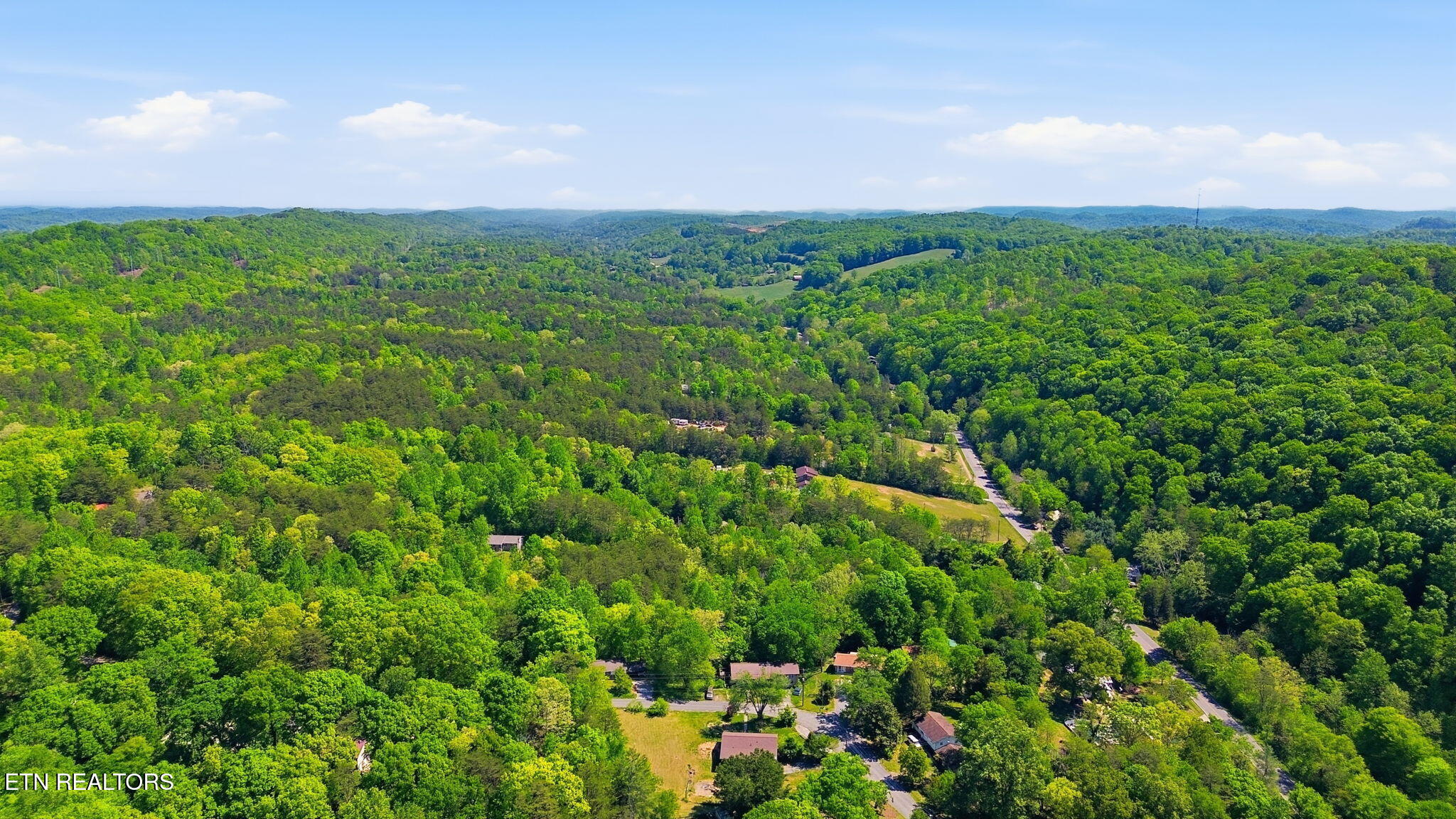 209 White Oak Lane Heiskell, TN 37754 - Photo 30 of 40 30-web-or-mls-DJI_0298