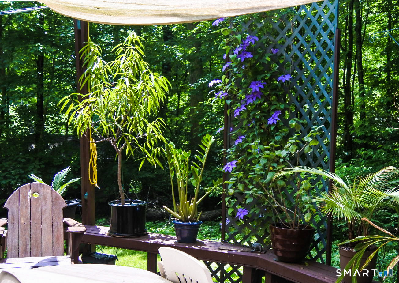 208 Cascade Road Stamford, CT 06903 - Photo 28 of 31 a backyard of a house with lots of green space and seating area