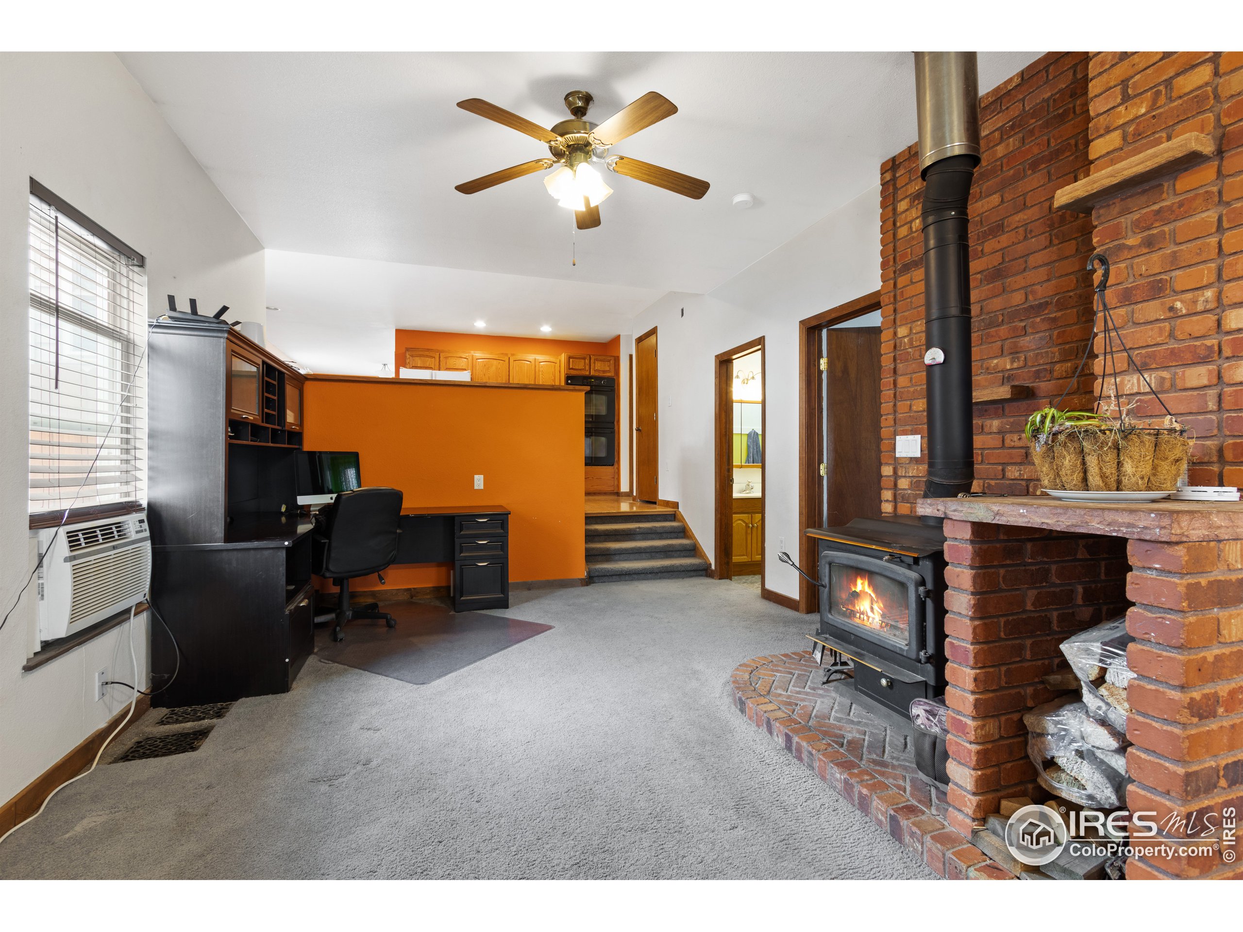 141 5th Street Mead, CO 80542 - Photo 5 of 38